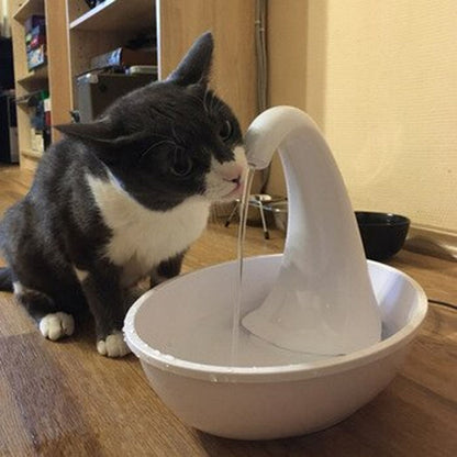 Swan Pet Fountain